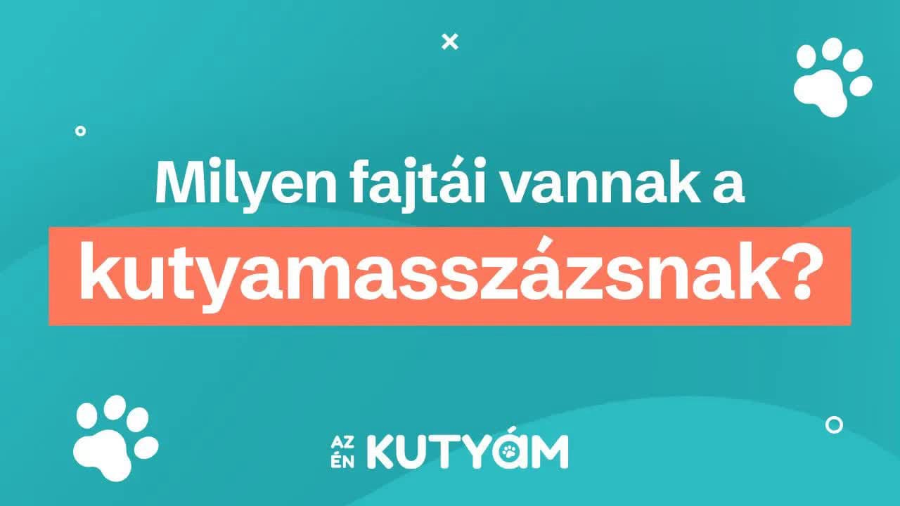 Thumbnail for Milyen fajtái vannak az kutyamasszázsnak? | Az én kutyám