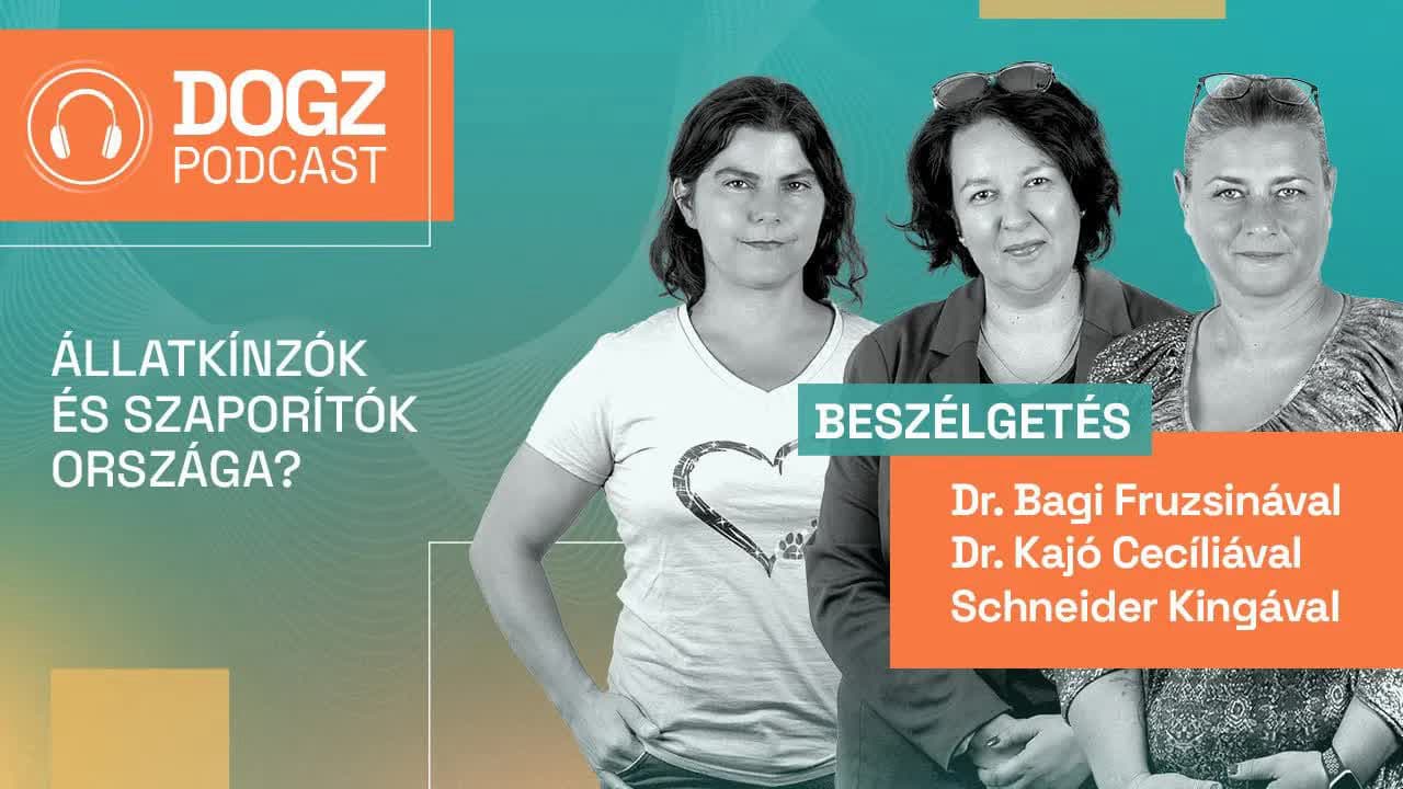 Thumbnail for A DOGZ podcast első adása: Állatkínzók és szaporítók országa? - Kiből lesz felelős kutyatartó?