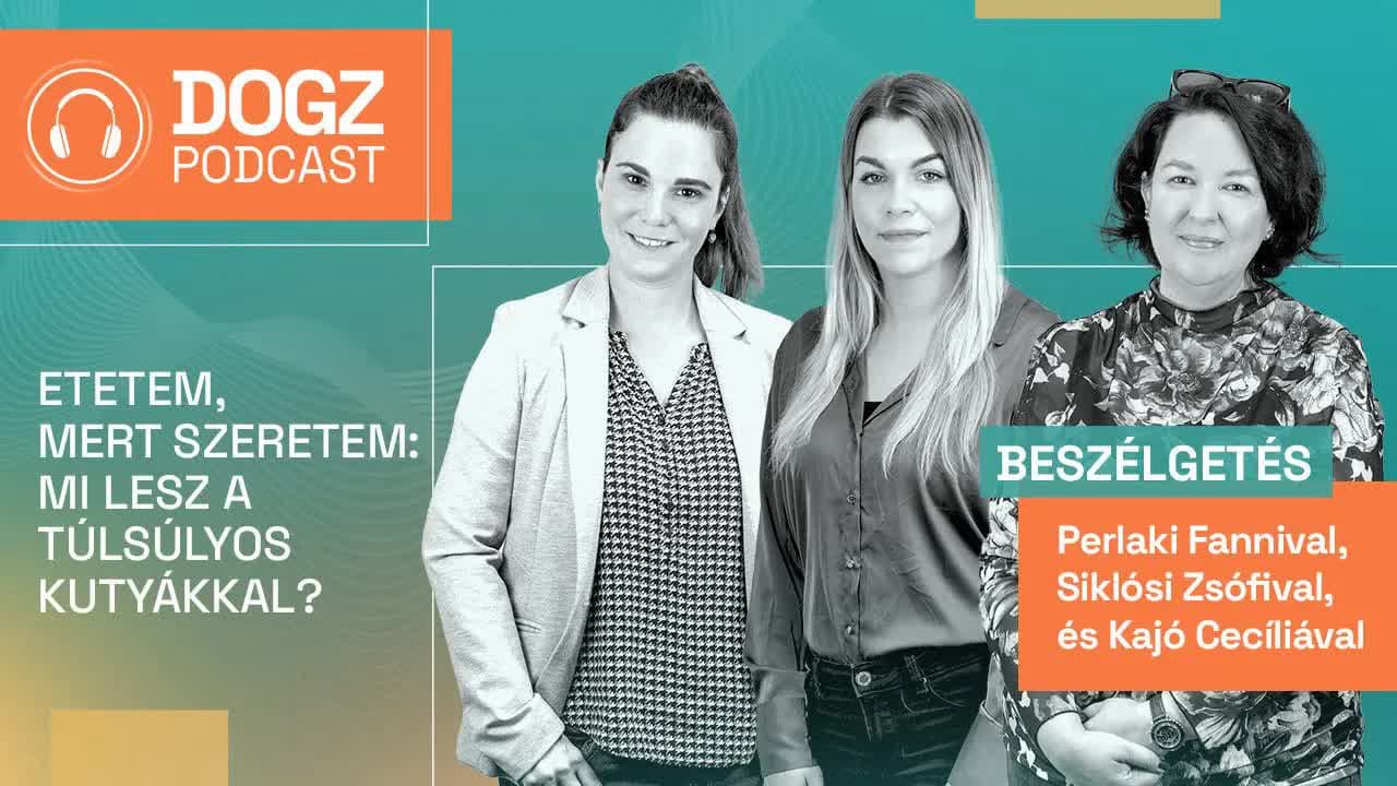 Thumbnail for DOGZ podcast 5./1.: Etetem, mert szeretem: mi lesz a túlsúlyos kutyákkal?