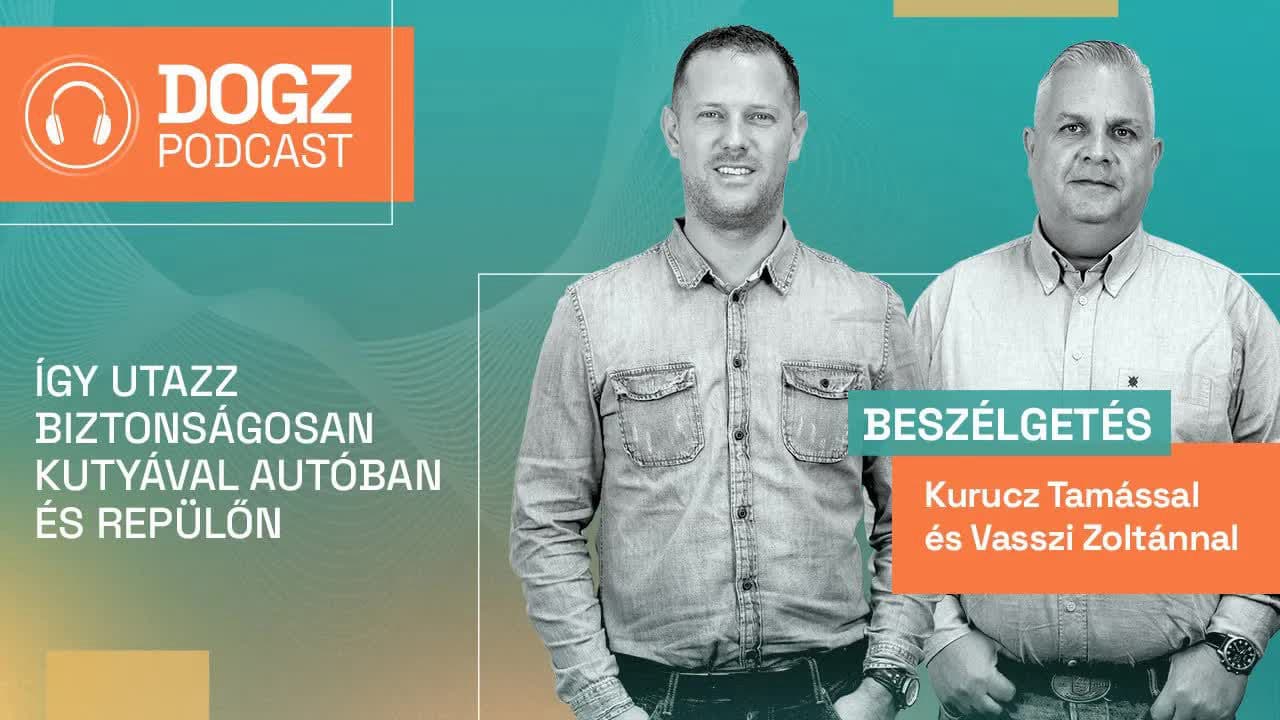 Thumbnail for Dogz podcast 4./4.: Így utazz biztonságosan kutyával autóban és repülőn