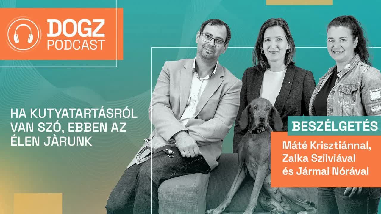 Thumbnail for Dogz podcast 4./2.: Ha kutyatartásról van szó, ebben az élen járunk