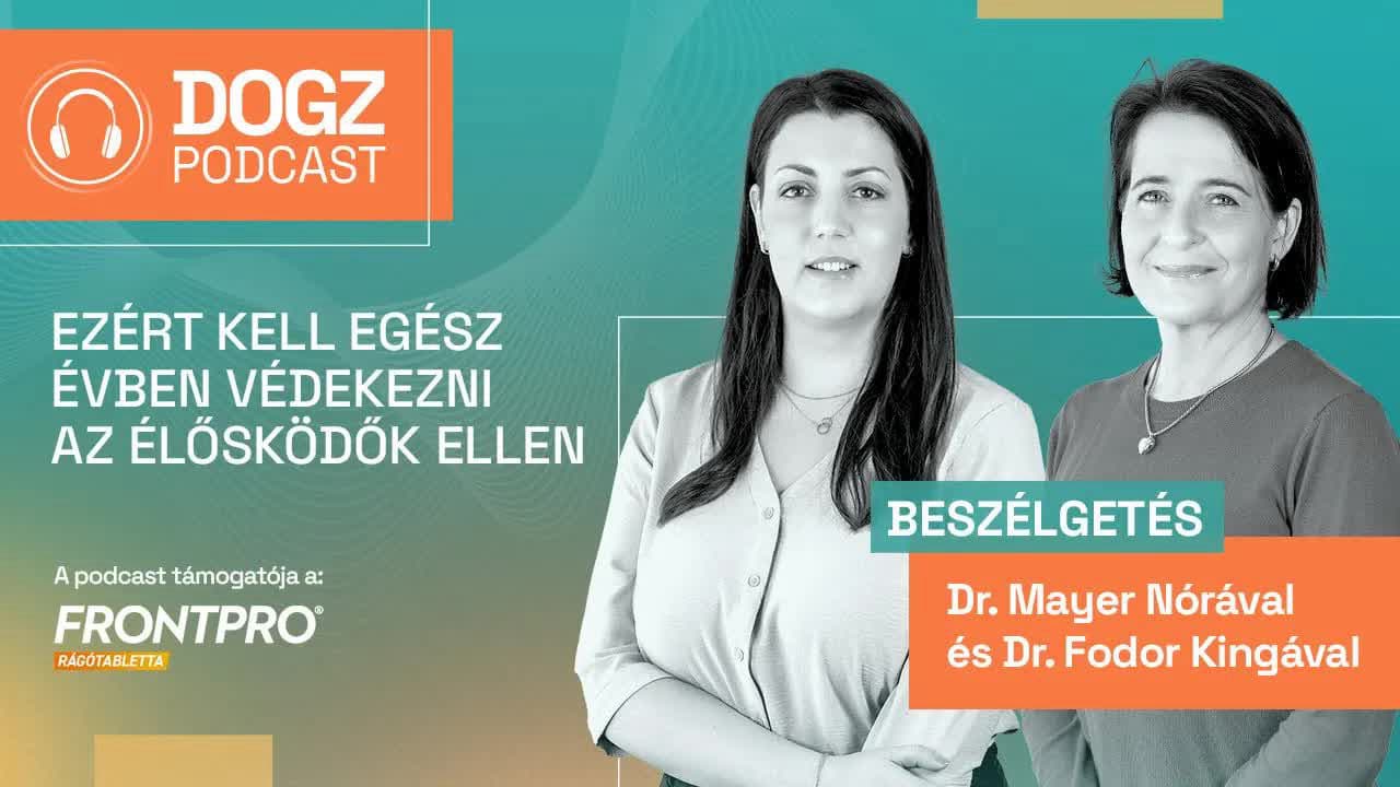 Thumbnail for Ezért kell egész évben védekezni az élősködők ellen