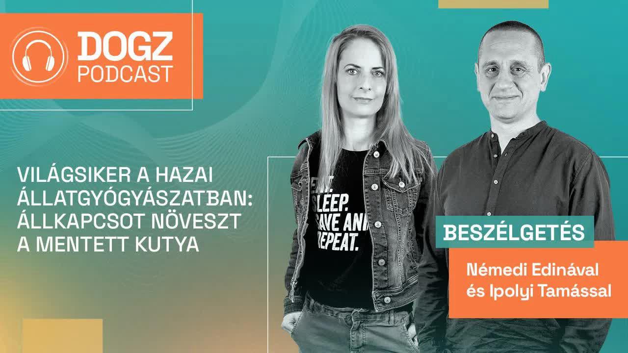 Világsiker a hazai állatgyógyászatban: állkapcsot növeszt a mentett kutya