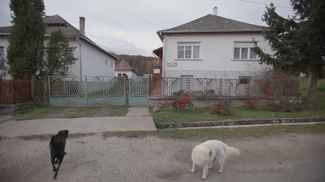 Kéktúra 3. rész: A putnoki farkasember nyomában
