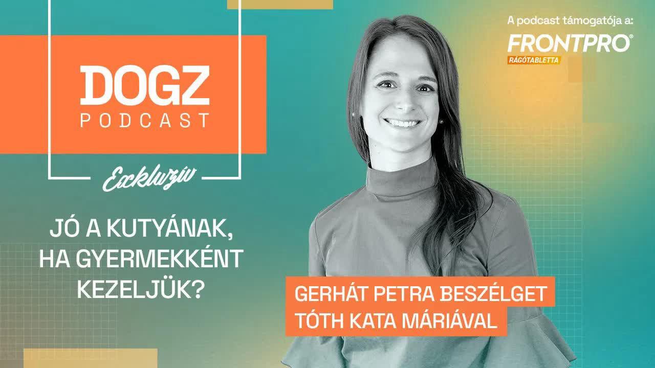 Jó a kutyának, ha gyermekként kezeljük?