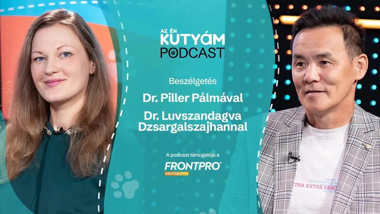 Thumbnail for "Ne tekintsük a kutyát embernek, de családtagnak igen"
