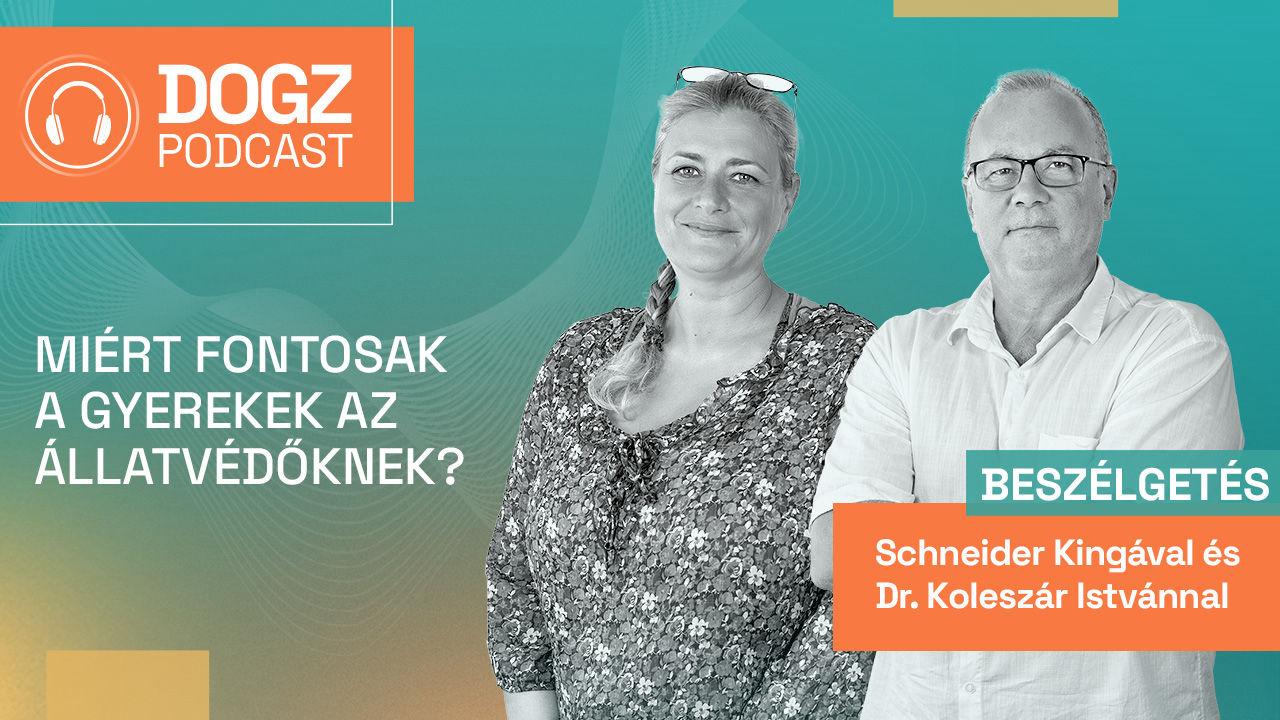 Miért fontosak a gyerekek az állatvédőknek?