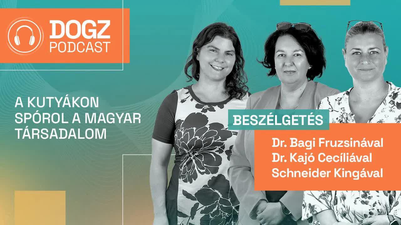 A DOGZ podcast második adása: A kutyákon spórol a magyar társadalom