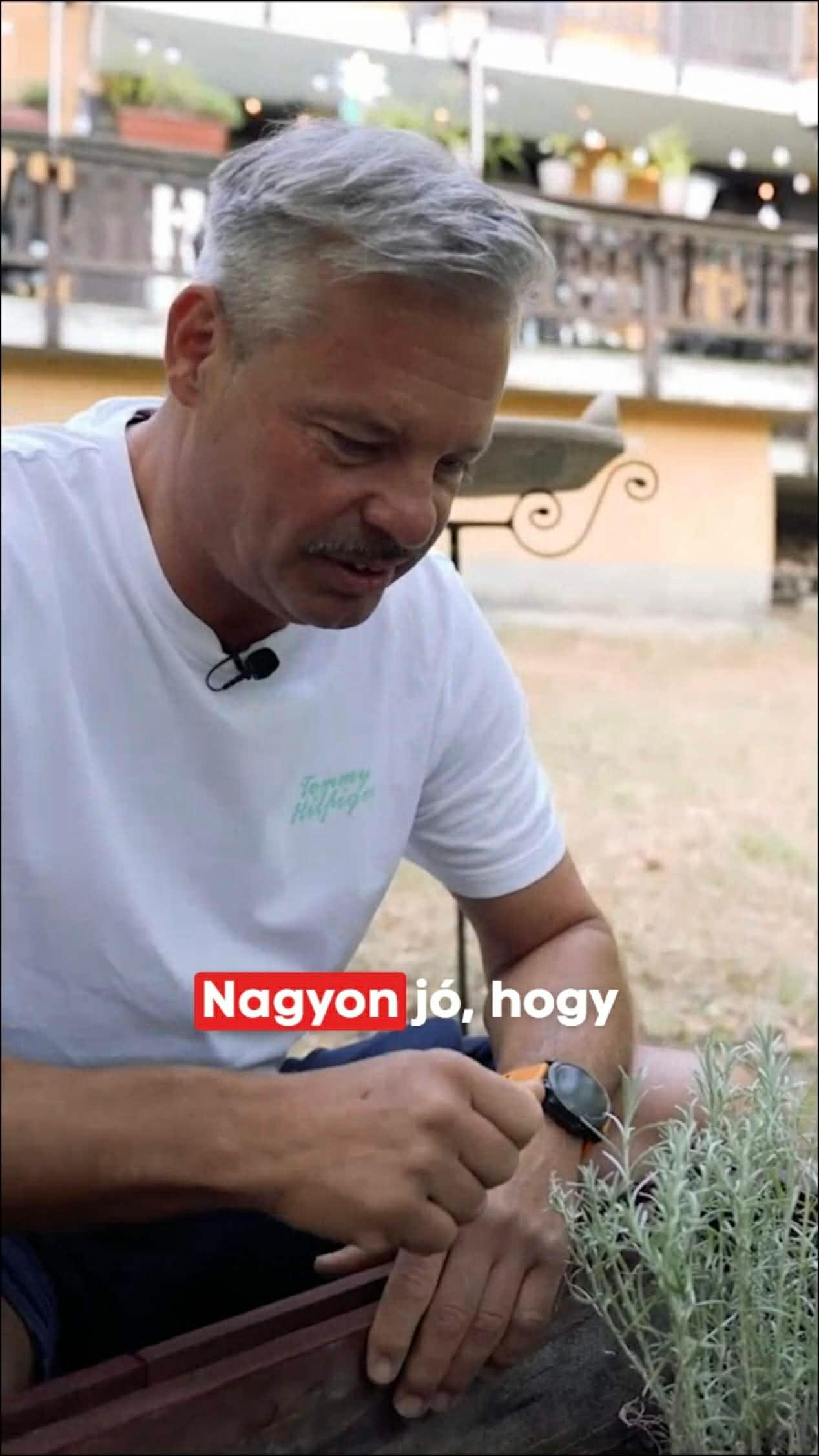 Kovács Lázár kertjében különleges fűszerek nőnek