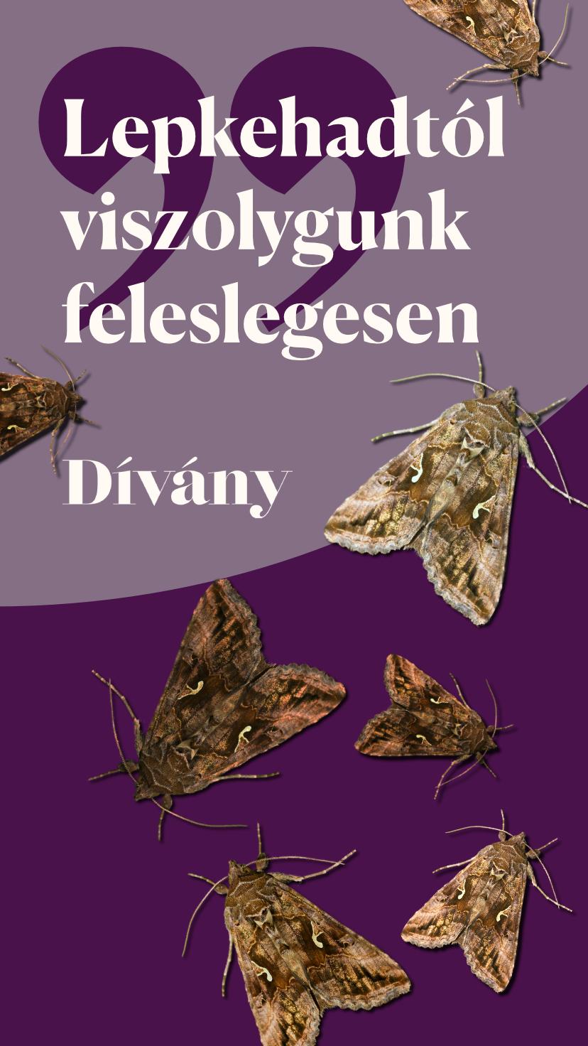Furcsa lepkék inváziója Magyarországon