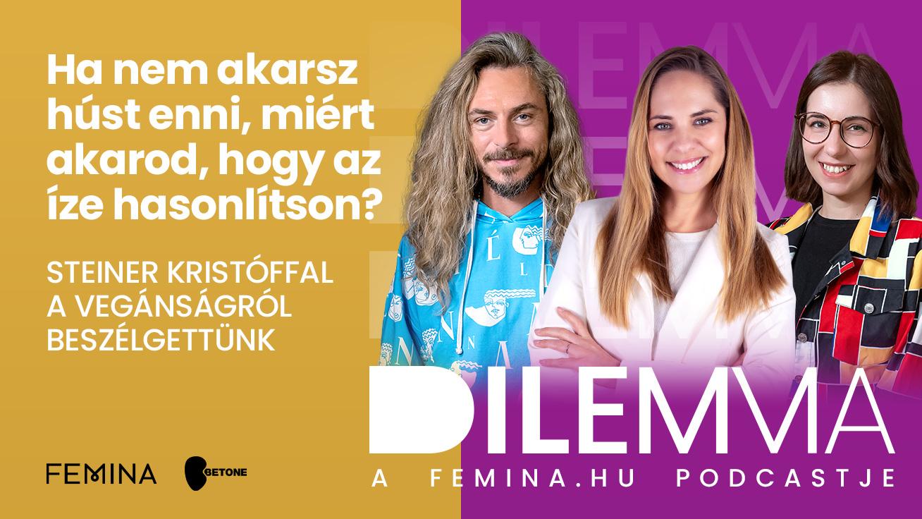 Ha nem akarsz húst enni, miért akarod, hogy az íze hasonlítson? Steiner Kristóffal a vegánságról dilemmáztunk