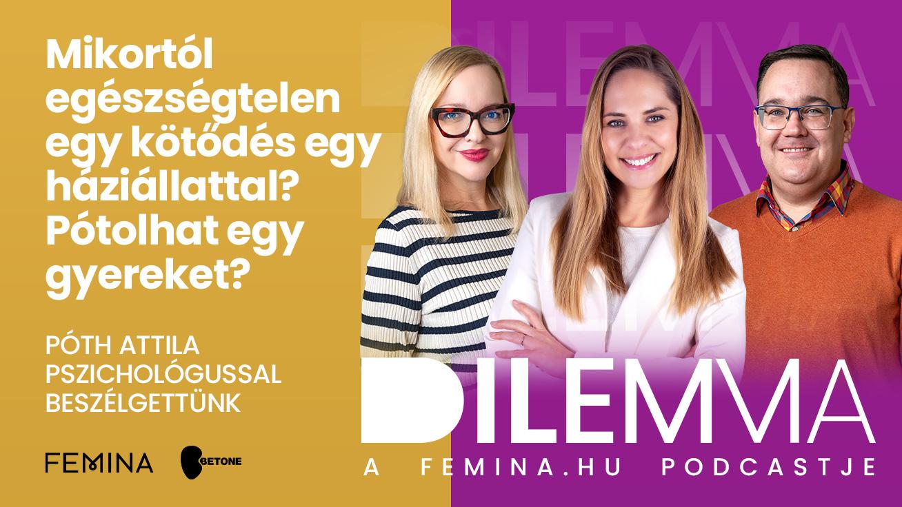 Mikortól egészségtelen egy kötődés egy háziállattal? Pótolhat egy gyereket? Póth Attila pszichológussal beszélgettünk
