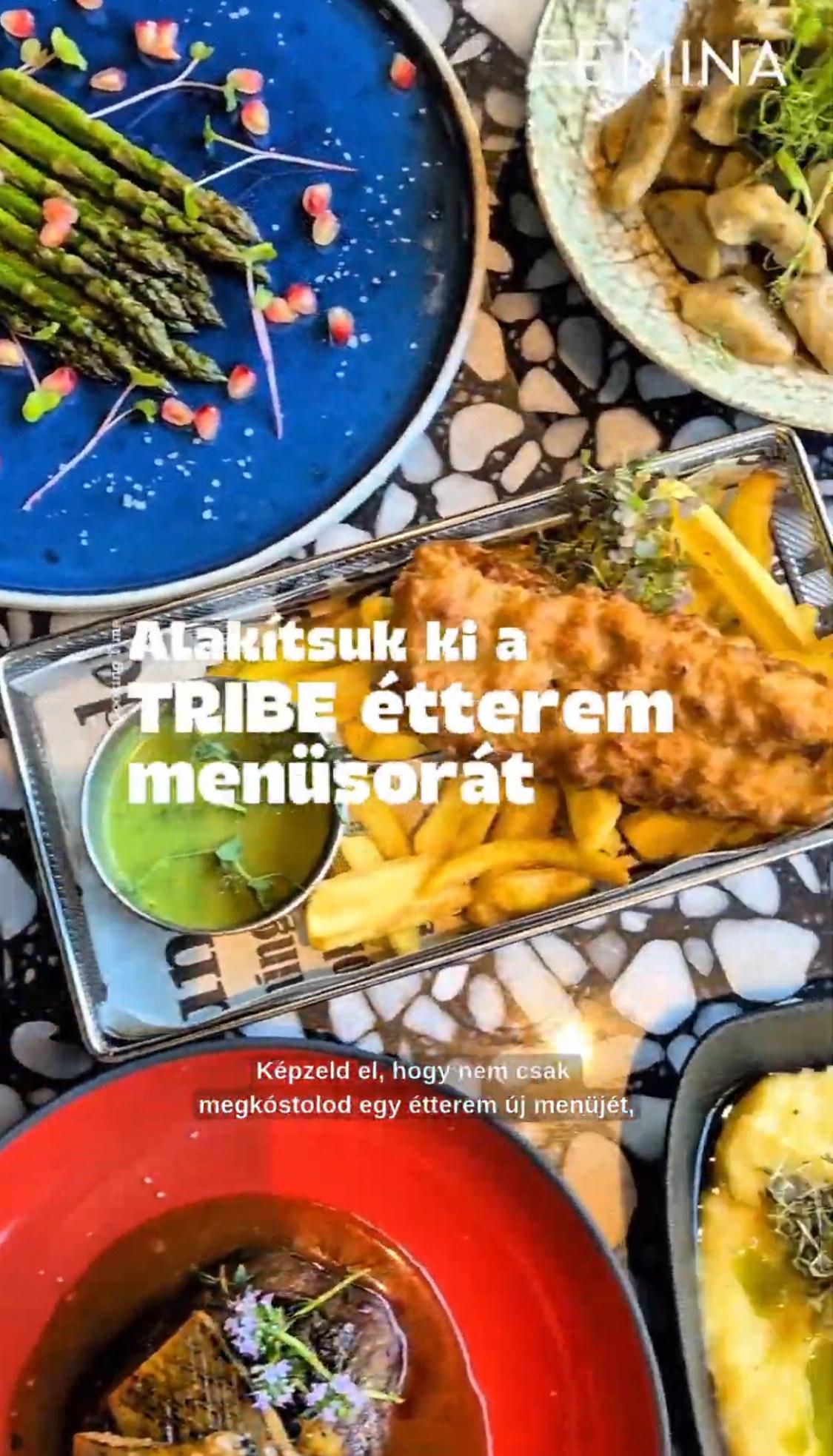 Egy menüsor, amit mi alakíthatunk: a TRIBE Table Budapest kóstolásán jártunk