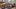 Thumbnail for 7300 forintos bagett, 4500 forintos kürtőskalács: ilyen árakkal számolhatunk a karácsonyi vásárban