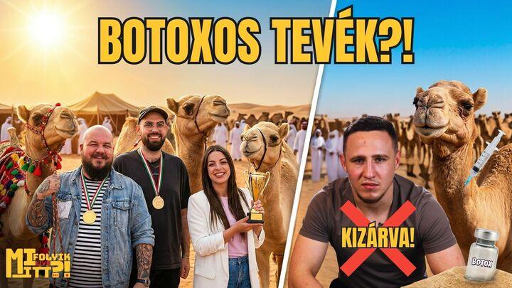 Thumbnail for Botoxbotrány a teveszépségversenyen, durvuló kampány, a Szabó Bence ügy és Donald Trump újabb kiszemeltje