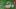 Thumbnail for DOGZ Mikulás Falkaséta 2025