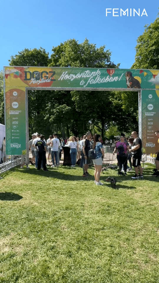 Benépesült a Városligeti Nagyrét a Dogz Fesztiválon