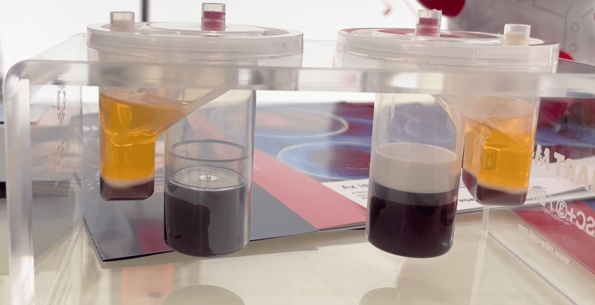 Thumbnail for A biológiai időgép – Őssejt a szépség érdekében?