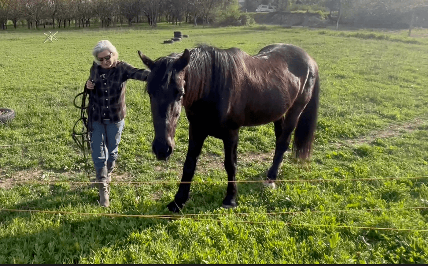 Thumbnail for Őszinte kapcsolódás: Nyereg nélkül Zsivánnyal