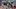Thumbnail for 19 éves srác uralja a Forma–1-et, de… – TotalRace 2.