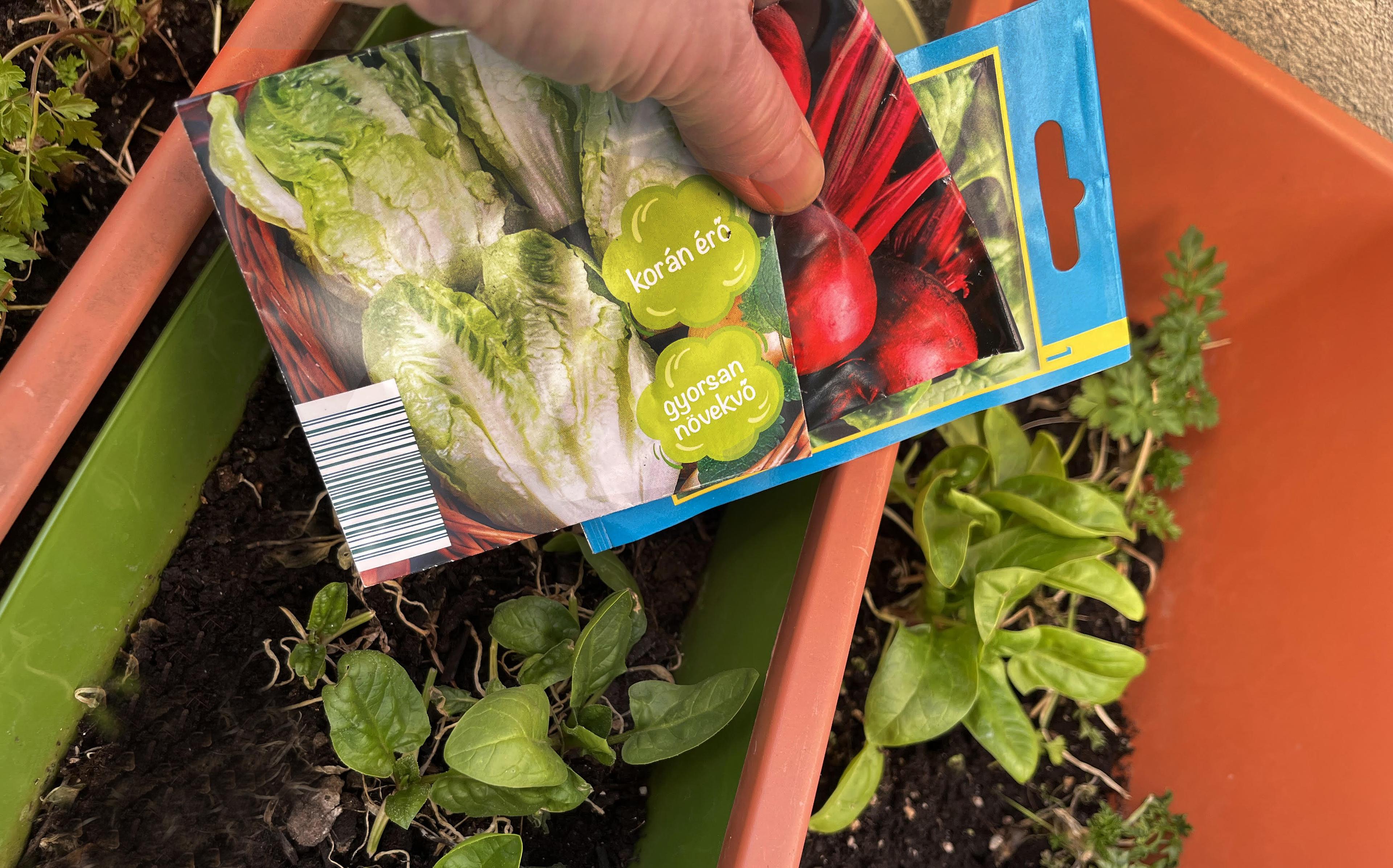 Thumbnail for Így termeld meg a család vitaminját az erkélyen