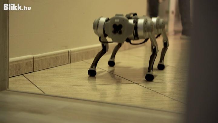 Thumbnail for Robot Kutya