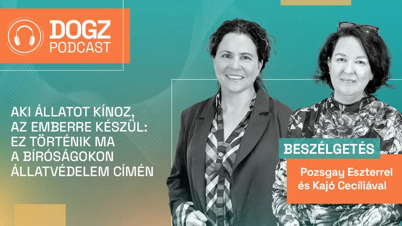 Aki állatot kínoz, az emberre készül: ez történik ma a bíróságokon állatvédelem címén