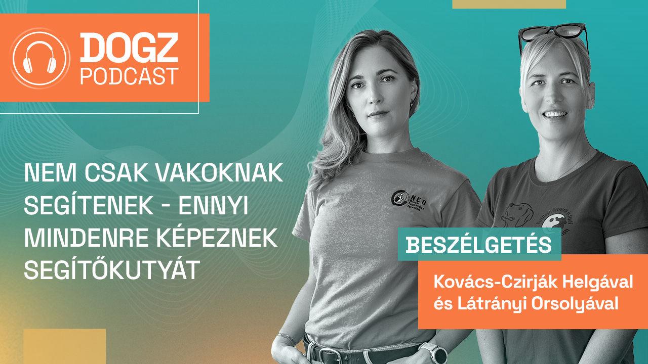 Thumbnail for Nem csak vakoknak segítenek - ennyi mindenre képeznek segítőkutyát