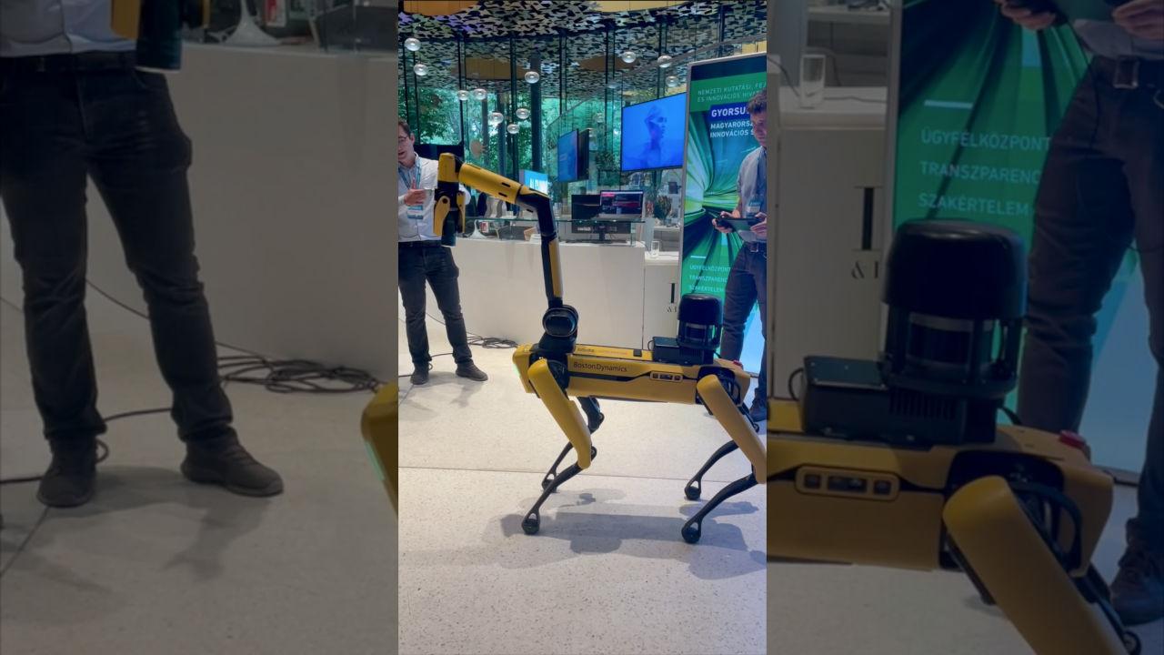 Robotkutya az utcán? Szakemberek mondták el, mikor lehet belőle valóság