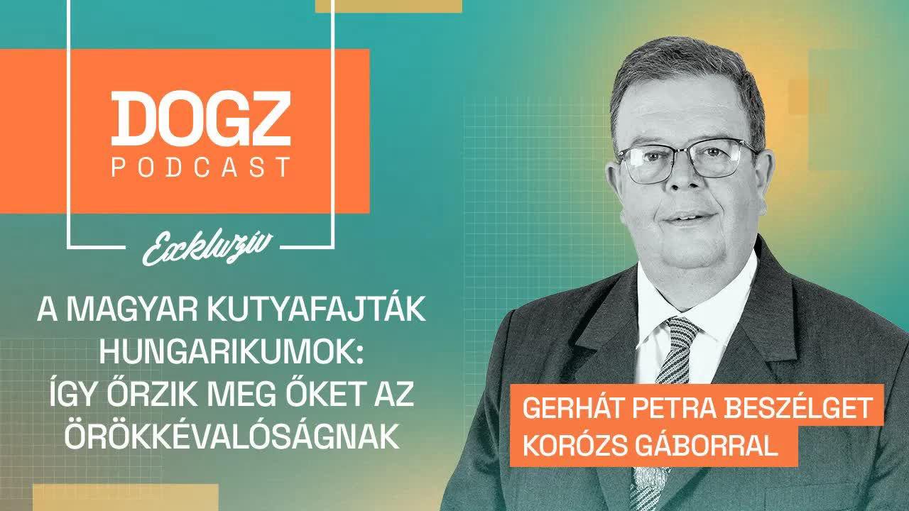 A magyar kutyafajták hungarikumok: Így őrzik meg őket az örökkévalóságnak