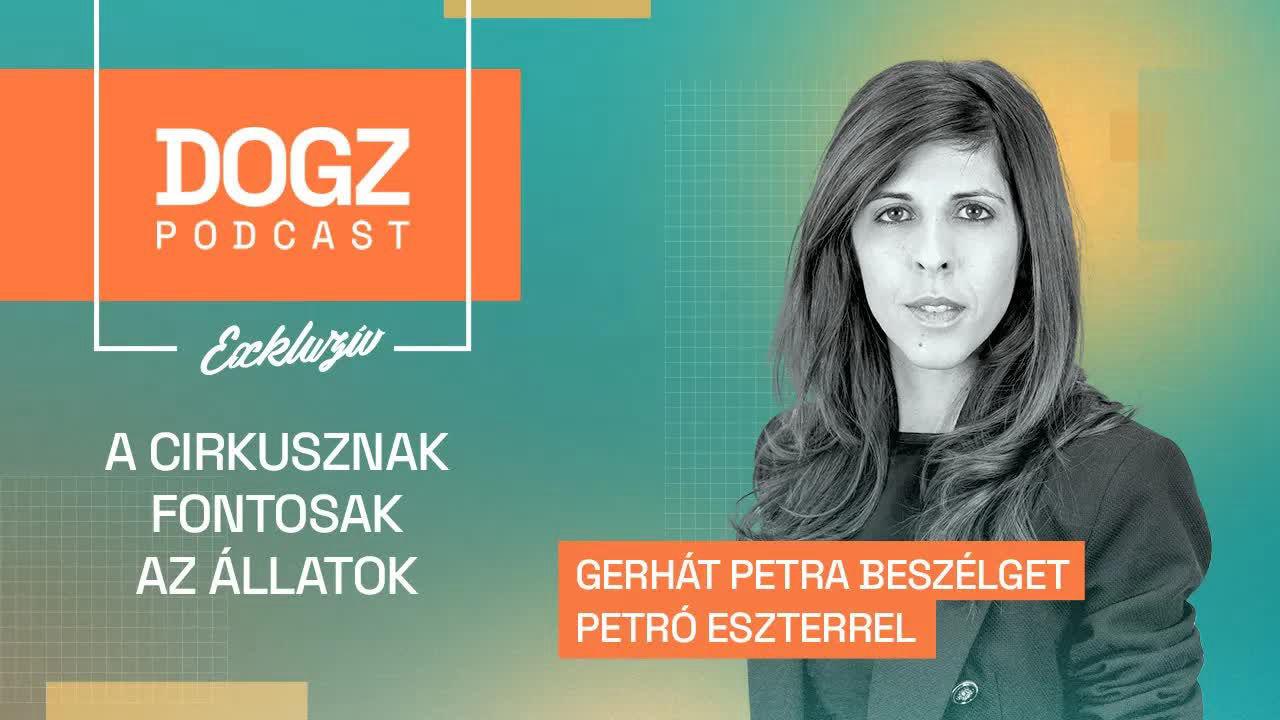 A cirkusznak fontosak az állatok - beszélgetés Petró Eszterrel