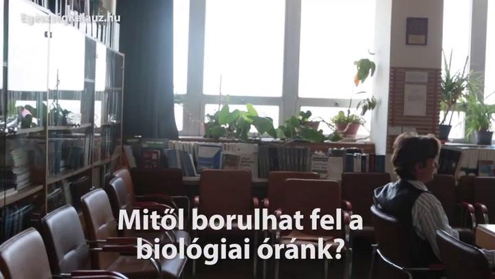 Thumbnail for mitolborulhatfelabiologiaiorank