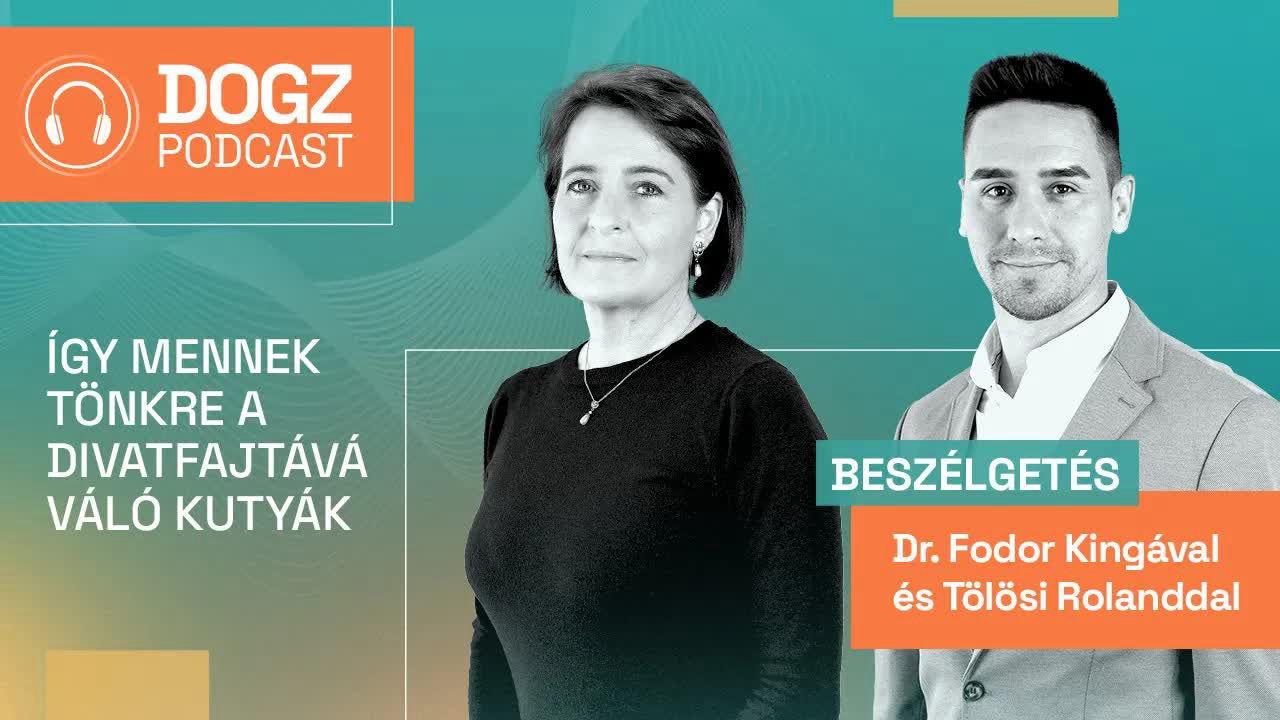 Így mennek tönkre a divatfajtává váló kutyák