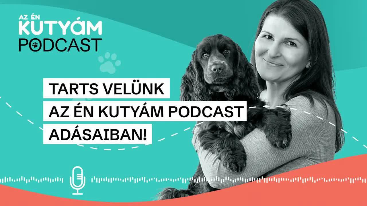 Az én kutyám podcast