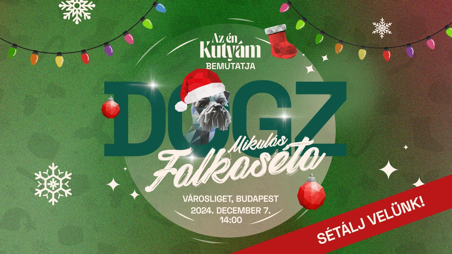Thumbnail for DOGZ Mikulás Falkaséta aftermovie