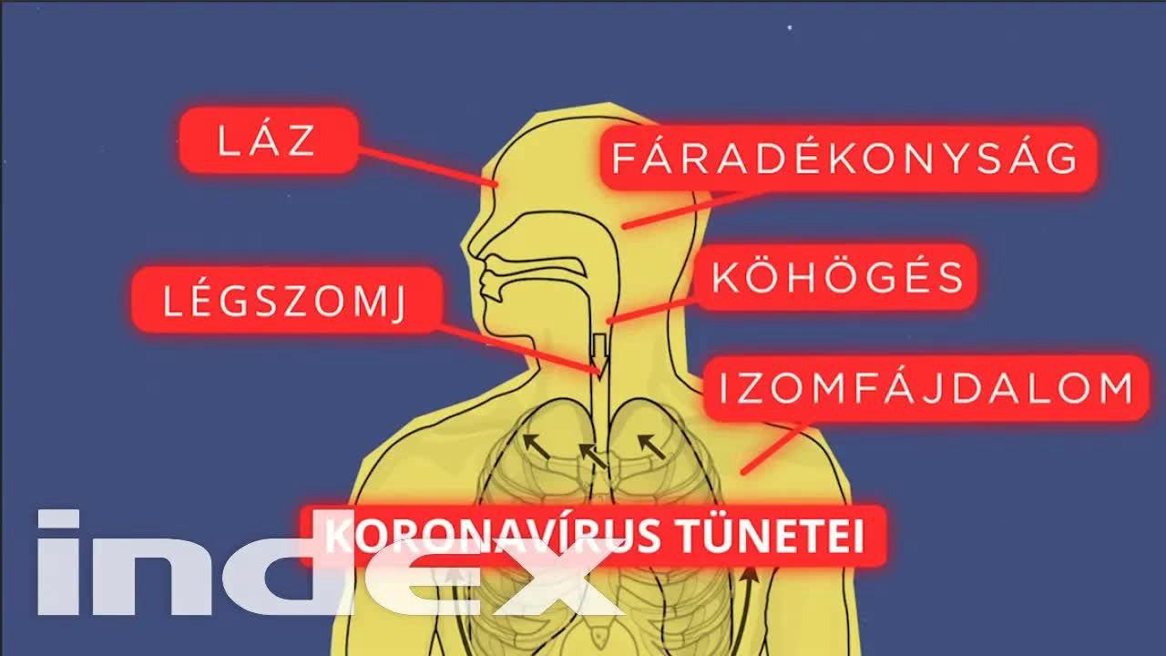 Nézzétek meg ezt a videót, ha a legfontosabb dolgokat tudni akarjátok a koronavírusról
