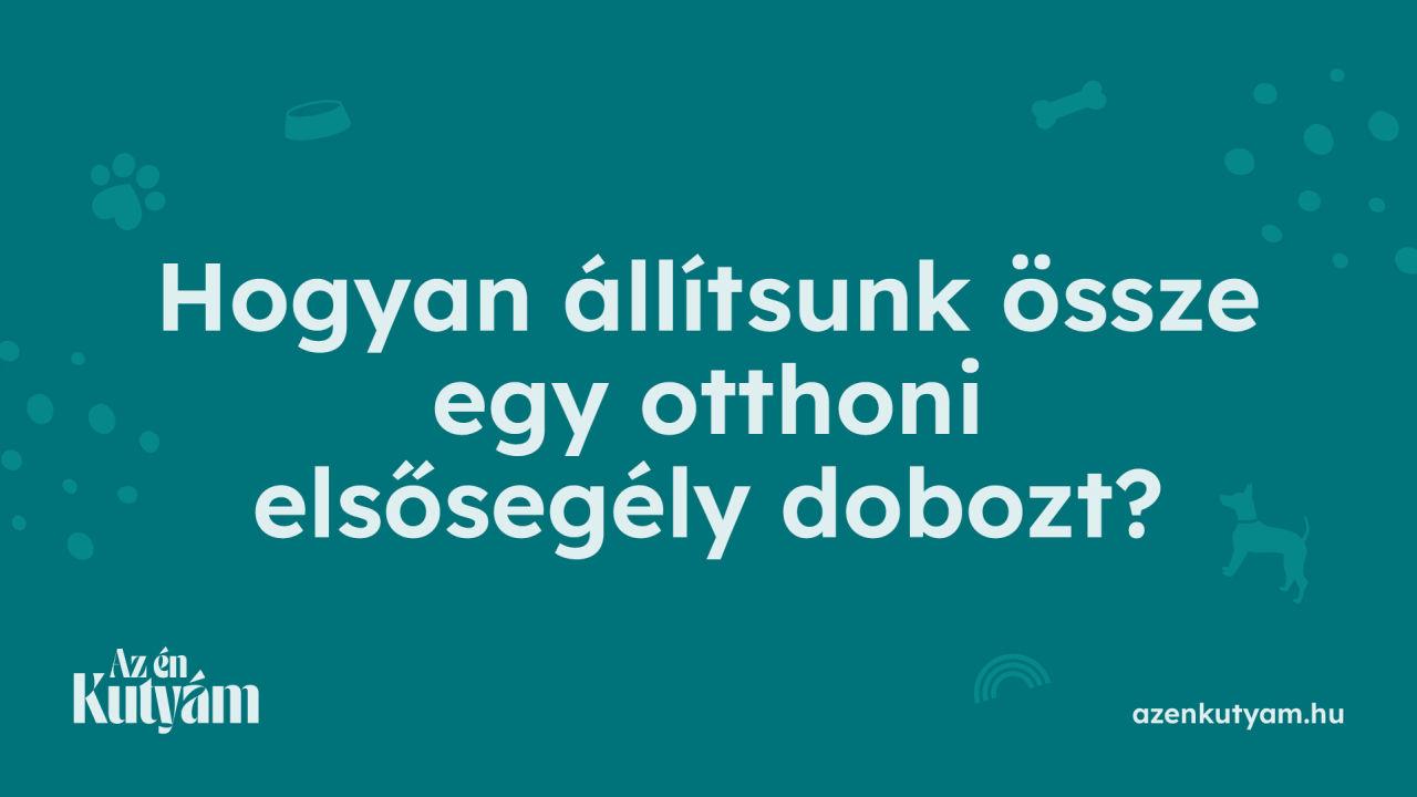 Thumbnail for Hogyan állítsunk össze egy otthoni elsősegély dobozt?