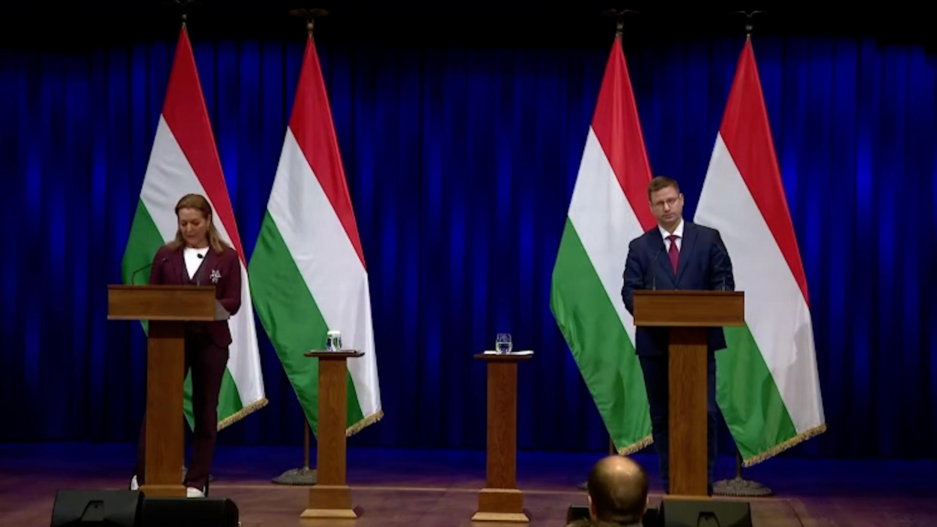 Thumbnail for Gulyás Gergely az Indexnek: Önmagában a hülyeség nem jogellenes