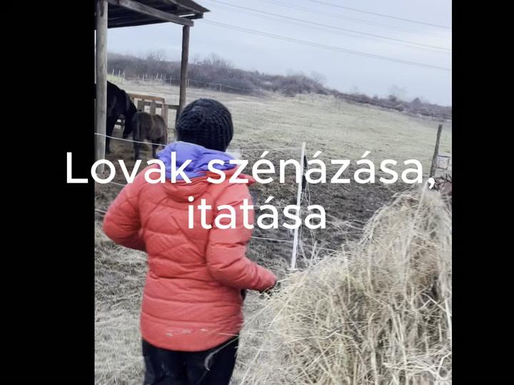 Thumbnail for Lovak szénázása-itatása