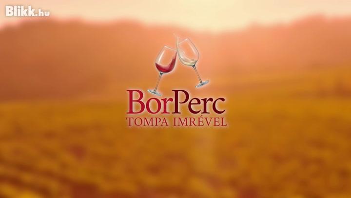 Thumbnail for Ön ismeri a világ négy fő bortáját? - BorPerc