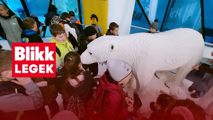 Thumbnail for Blikk Legek: Dóczy Balázs, a hivatásos LEGO építő