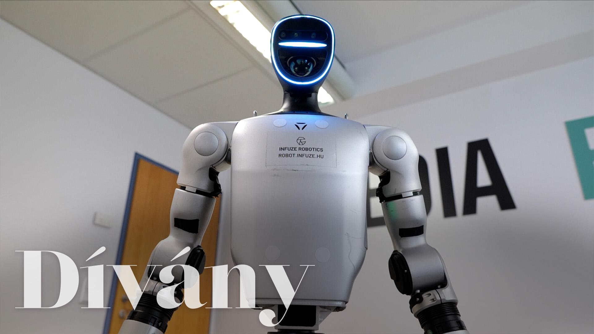 Thumbnail for A munkádat nem veszi el, de már egészen hasonlít rád ez a robot
