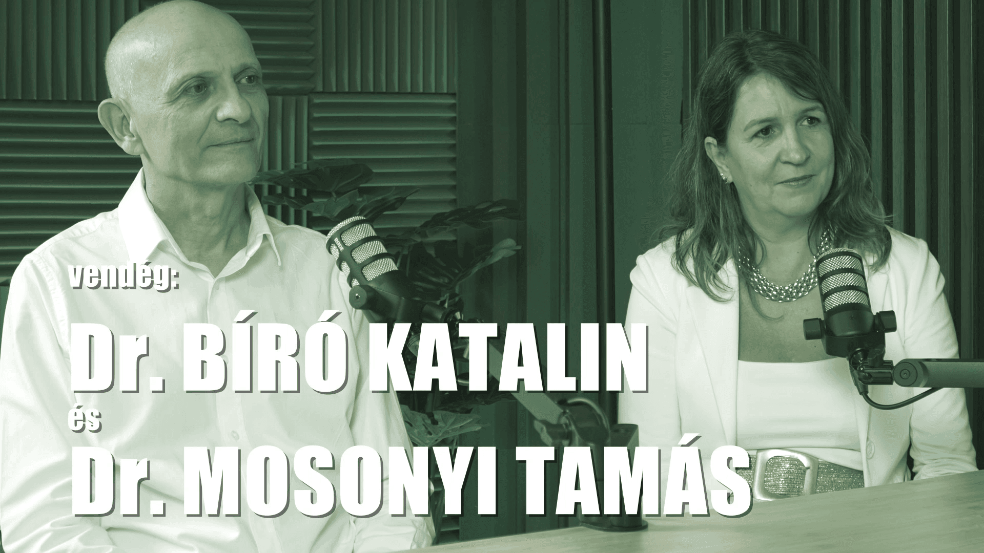 Thumbnail for Ficzere - Bíró Katalin, Mosonyi Tamás
